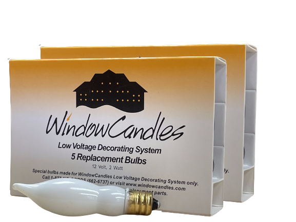 Incandescent White 10 Pack [302-W]