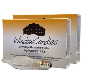 Incandescent Clear 10 Pack [302-C]